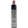 Larch bach bloesem 10ml. - Ainsworths
