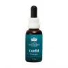 Confid Essence 30ml. - Australian Bush Flower Essences