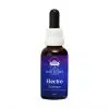 Electro Essence 30ml. - Straling - Australian Bush Flower Essences
