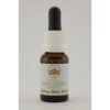 Alpine Mint Bush 15 ml. Australian Bush Flower Essences