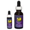 Black Eyed Susan - Californische FES Flower Essences