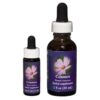 Cosmos - Californische FES Flower Essences