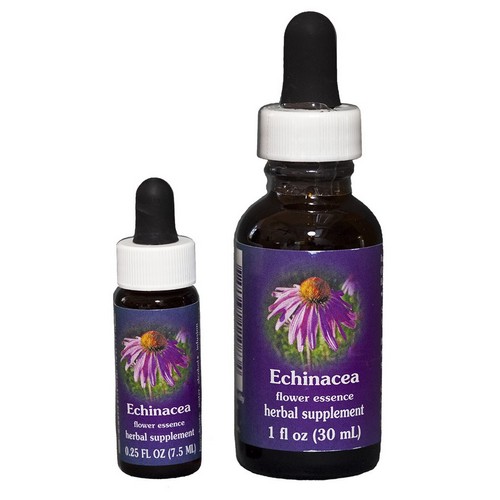 Echinacea - Californische FES Flower Essences