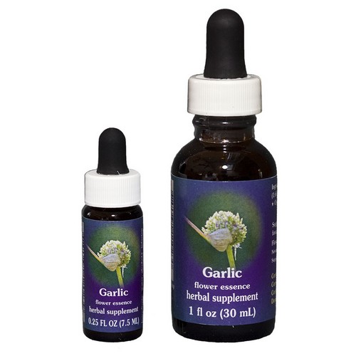 Garlic - Californische FES Flower Essences