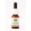 Grey Spider Flower 15 ml. Australian Bush Flower Essences
