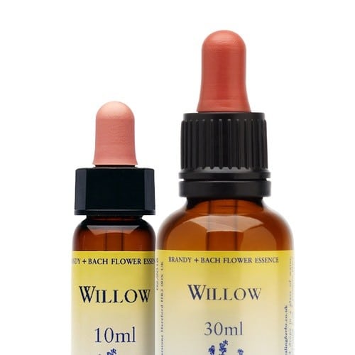 Willow bach remedie - Healing Herbs
