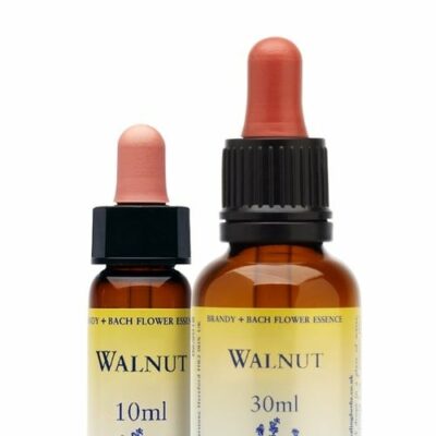 Walnut bach remedie - Healing Herbs