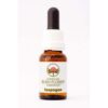 Isopogon 15 ml. Australian Bush Flower Essences