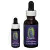 Lavender - Californische FES Flower Essences