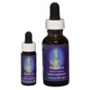 Mugwort - Californische FES Flower Essences