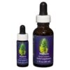Mullein - Californische FES Flower Essences