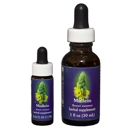 Mullein - Californische FES Flower Essences