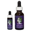 Nicotiana - Californische FES Flower Essences
