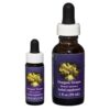 Oregon Grape - Californische FES Flower Essences