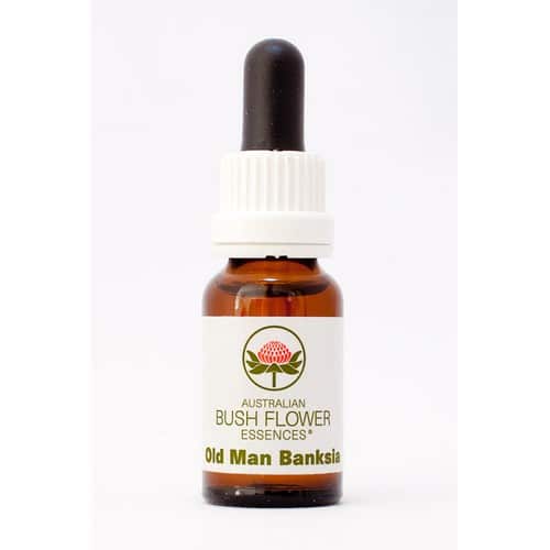 Old Man Banksia 15 ml. Australian Bush Flower Essences