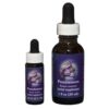 Penstemon - Californische FES Flower Essences