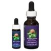 Red Clover - Californische FES Flower Essences