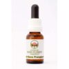 Red Suva Fragipani 15 ml. Australian Bush Flower Essences
