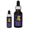 Snapdragon - Californische FES Flower Essences