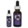 Star Tulip - Californische FES Flower Essences
