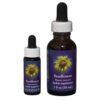 Sunflower - Californische FES Flower Essences
