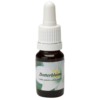 Dotterbloem 10ml.
