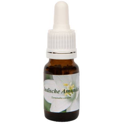 Indische Amandel 10ml.