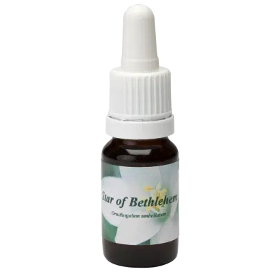 Star of Bethlehem 10ml.
