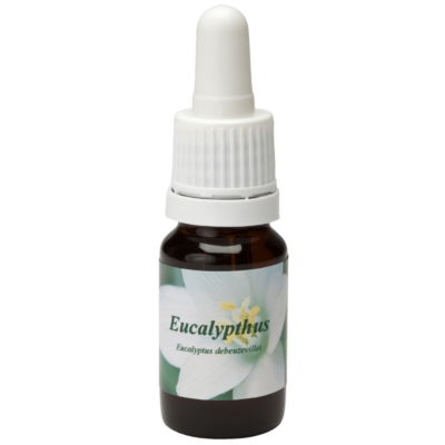 Eucalypthus 10ml.