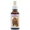 Buffalo (Buffel) 30ml. Animal Essences