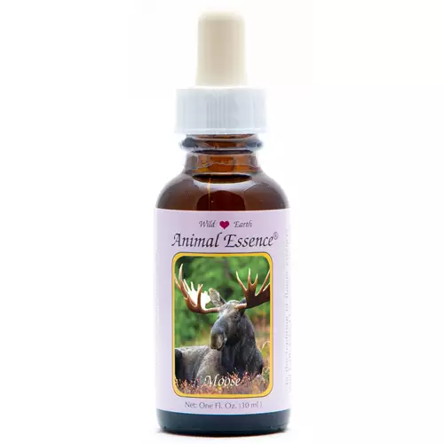 Moose (Eland) 30ml. Animal Essences