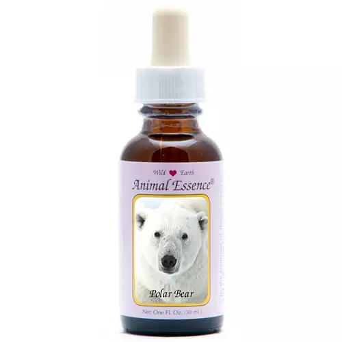 Polar Bear (Ijsbeer) 30ml. Animal Essences