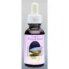 Electrical Essence / Electric Eel essence 30ml. Animal Essences