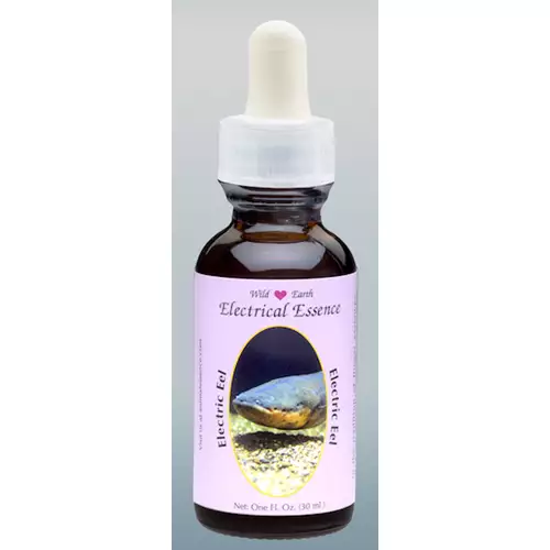 Electrical Essence / Electric Eel essence 30ml. Animal Essences