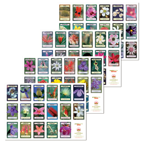 Poster - Australian Bush Flower Essences