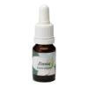 Zinnia 10ml.